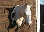 gietijzeren ornament paardenkop, Tuin en Terras, Tuinwanddecoratie, Ophalen of Verzenden, Gebruikt