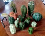 Verzameling aardewerk cactussen waaronder Ikea Sjalsligt, Ophalen of Verzenden