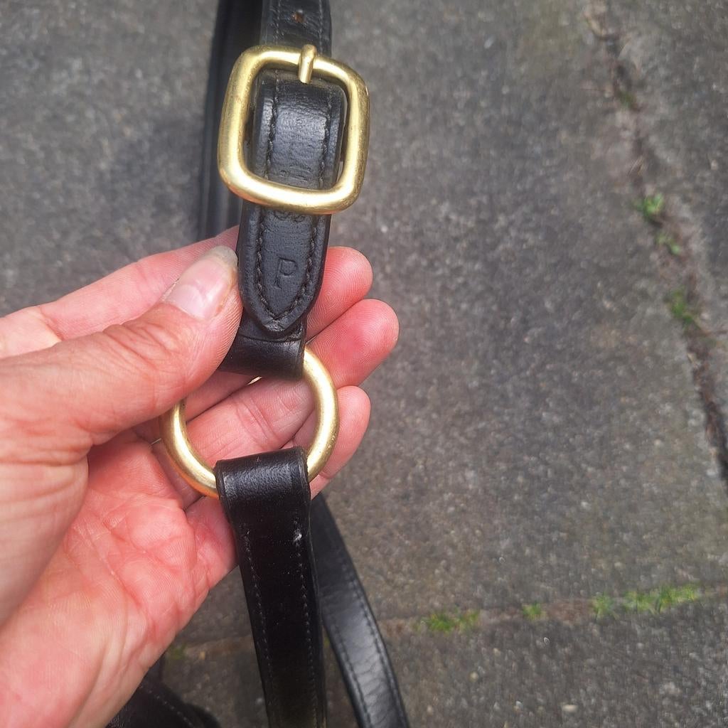 Leren pony halster nieuw, Dieren en Toebehoren, Ophalen of Verzenden, Nieuw, Overige soorten