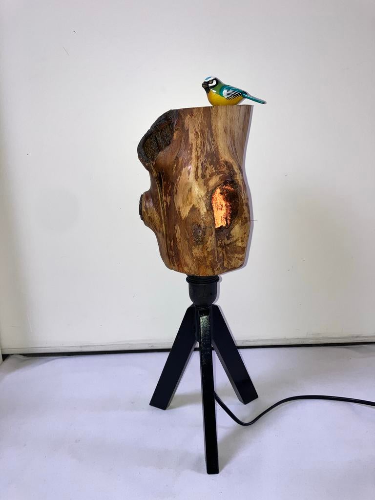 Unieke Boomstamlamp met vogeltje - Hout uit Goy, Nieuw, Ophalen of Verzenden, Landelijk, Minder dan 100 cm
