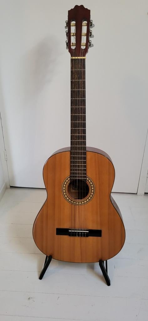Te koop Spaanse gitaar MOTION, Muziek en Instrumenten, Snaarinstrumenten | Gitaren | Akoestisch, Ophalen of Verzenden, Klassieke of Spaanse gitaar