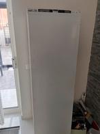 Beko Koelkast - Ruime en Betrouwbare Koeloplossing, Ophalen, 200 liter of meer, 160 cm of meer, 45 tot 60 cm