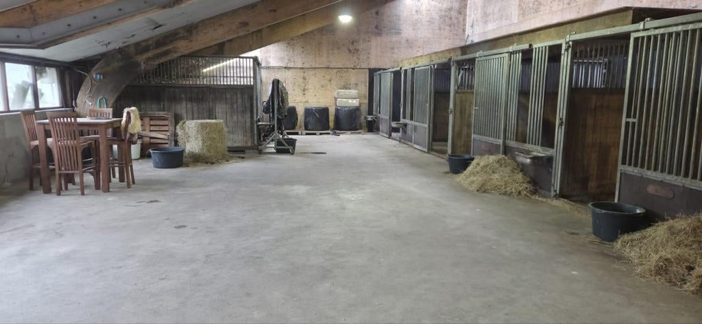 Fijne kleinschalige Paardenstalling, Dieren en Toebehoren, Weidegang
