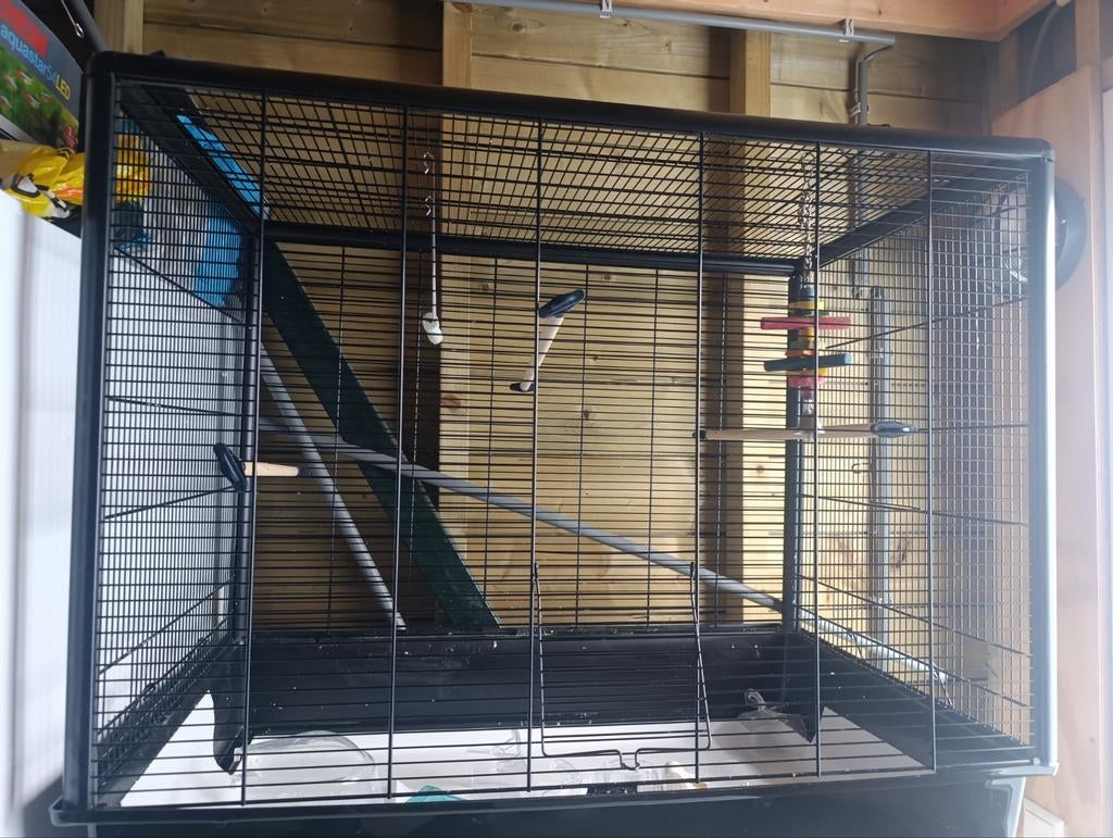 Vogelkooi, Dieren en Toebehoren, Ophalen of Verzenden, Metaal, Vogelkooi