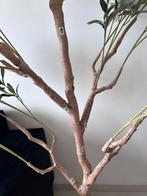 Kunst olijf boom 180 cm, Ophalen of Verzenden, Zo goed als nieuw