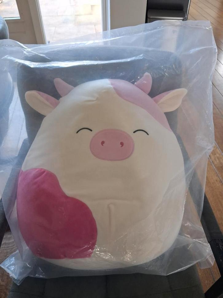 Squishmallow, allemaal nieuw., Kinderen en Baby's, Speelgoed | Knuffels en Pluche, Nieuw, Overige typen, Ophalen