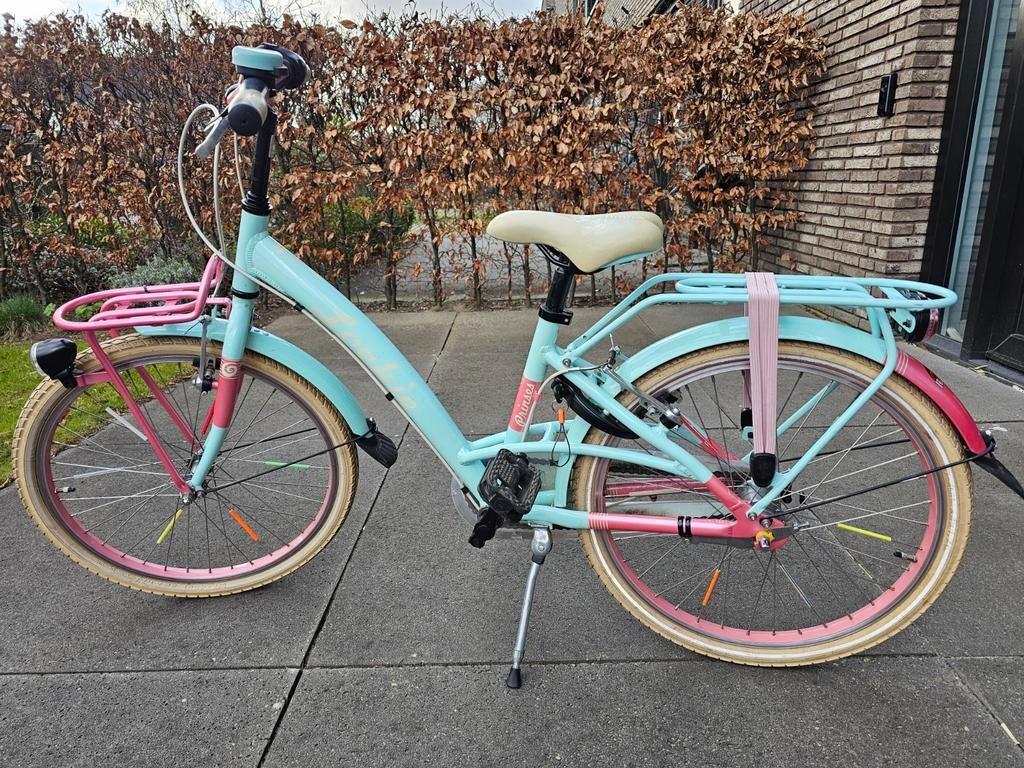 Loekie Princess 22 inch kinderfiets 1ste eigenaar., Ophalen, Gebruikt, 20 inch of meer, Loekie Prinses