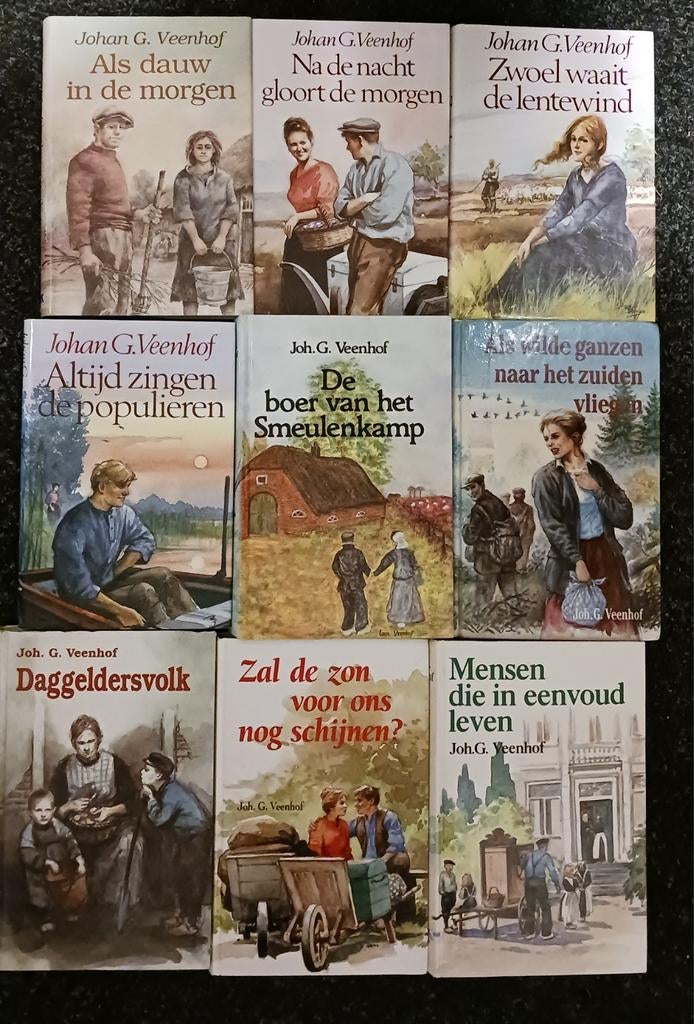 Johan G. Veenhof Boeken Collectie, Boeken, Ophalen of Verzenden, Gelezen, Johan G. Veenhof, Gelderland
