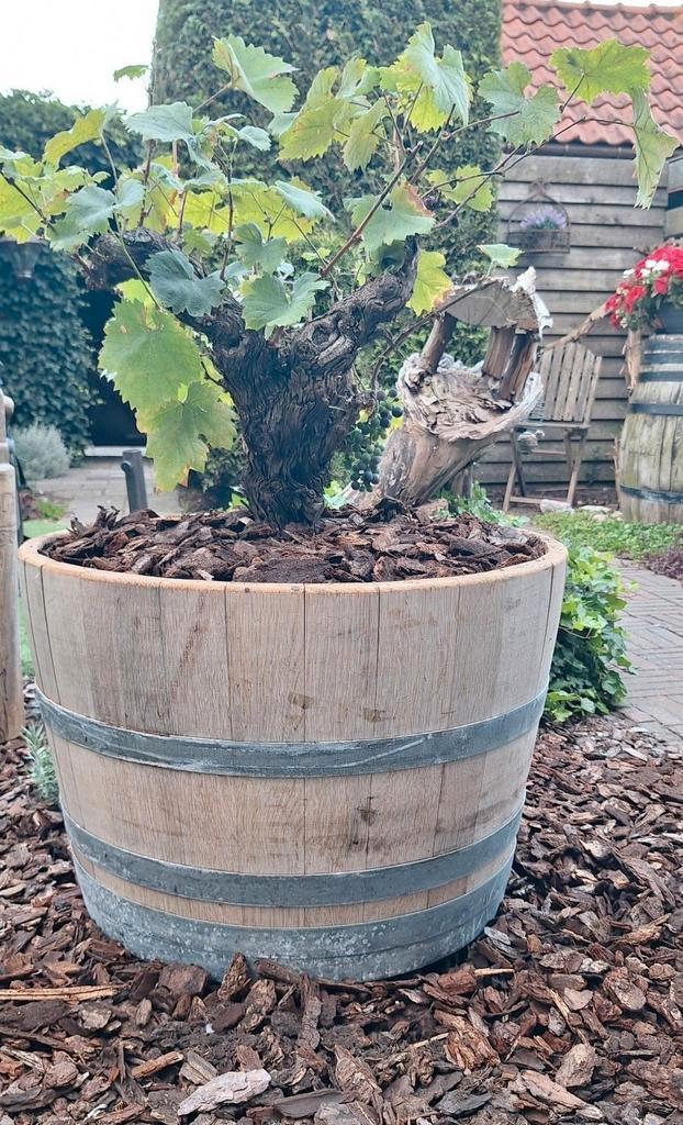 VOORJAARSAANBIEDING VAN 14-03/20-3 EIKENHOUTEN BLOEMBAKKEN, Tuin en Terras, Bloembakken en Plantenbakken, Nieuw, Hout, 60 tot 100 cm