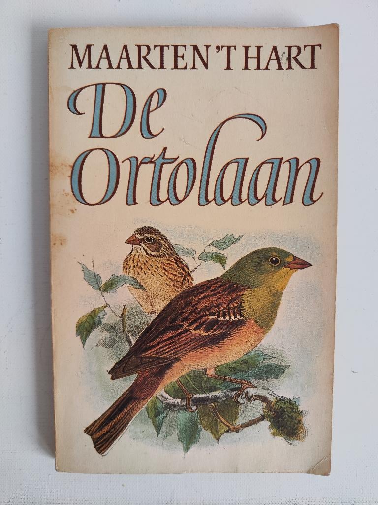 Maarten 't Hart - De Ortolaan, Gelezen, Ophalen of Verzenden, Nederland, Maarten 't Hart