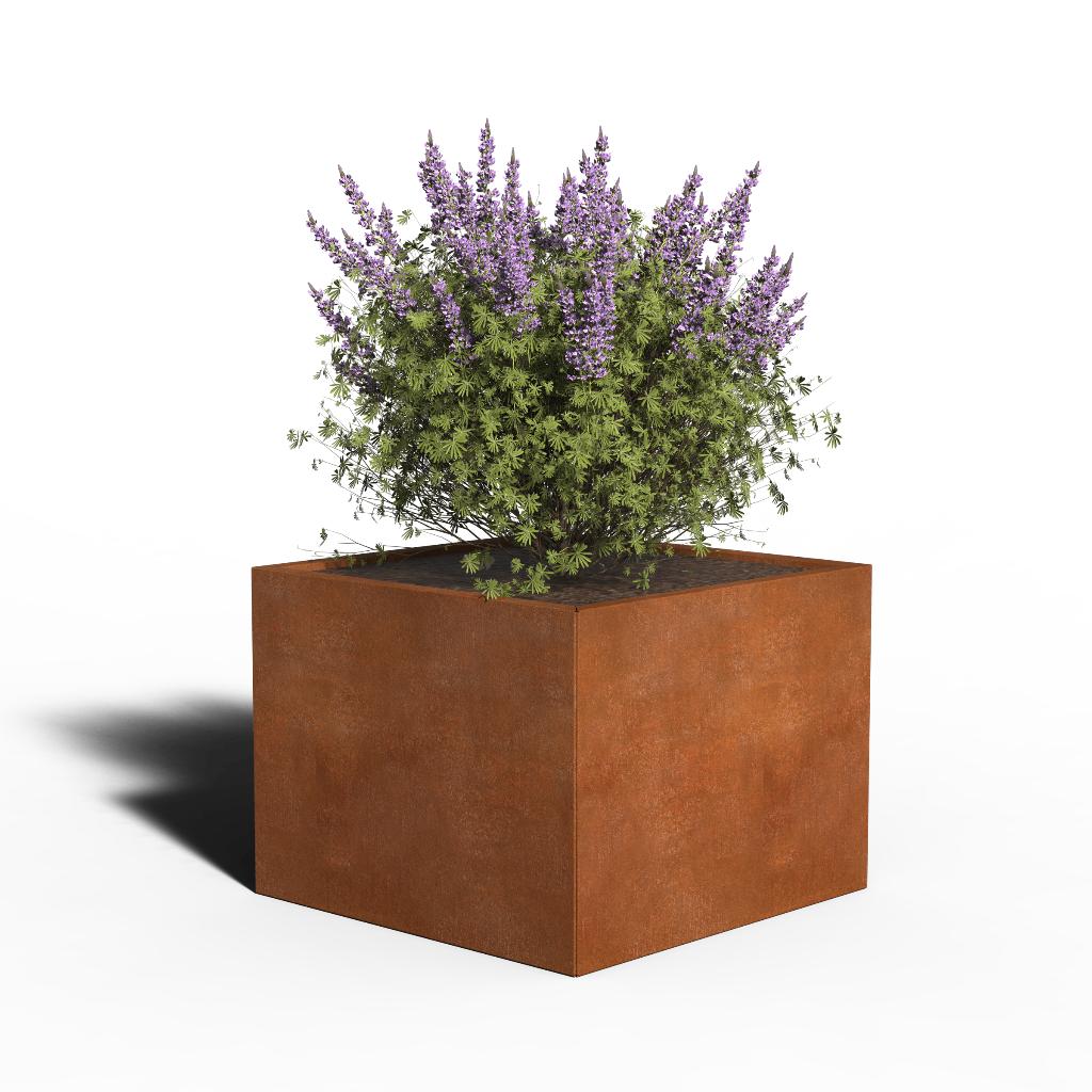 2e-kans: Cortenstaal Plantenbak 80x80x60 INCL. BODEM, Ophalen, Vierkant, Zo goed als nieuw, Balkon