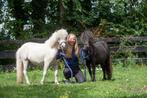 Verzorgponys aangeboden, Ophalen, Overige soorten