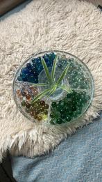 GEZOCHT: Oude partijtjes knikkers voor creatief gebruik, Ophalen of Verzenden, Zo goed als nieuw