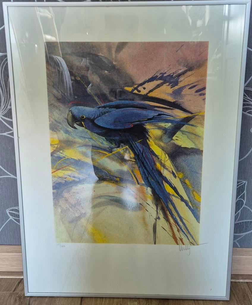 Schilderij blauwe papagaai, Ophalen of Verzenden