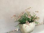 Goudkleurige pot met kunst orchideeën, Overige materialen, Gebruikt, Overige kleuren, Ophalen of Verzenden