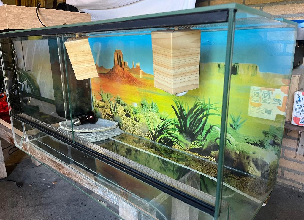 Terrarium (80 cm) te koop, Dieren en Toebehoren, Ophalen, Gebruikt, Terrarium of Paludarium