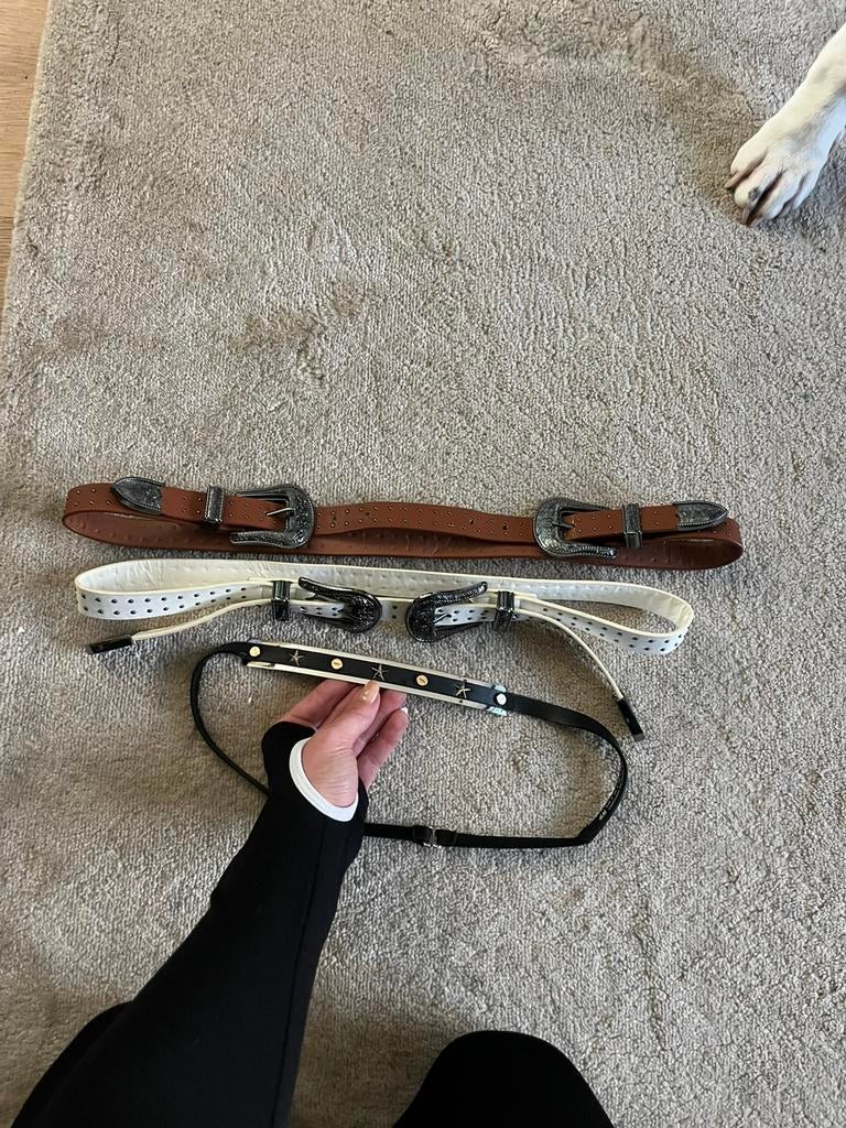 Setje met riemen, Kleding | Dames, Riemen en Ceinturen, Ophalen of Verzenden, Zo goed als nieuw, Overige kleuren