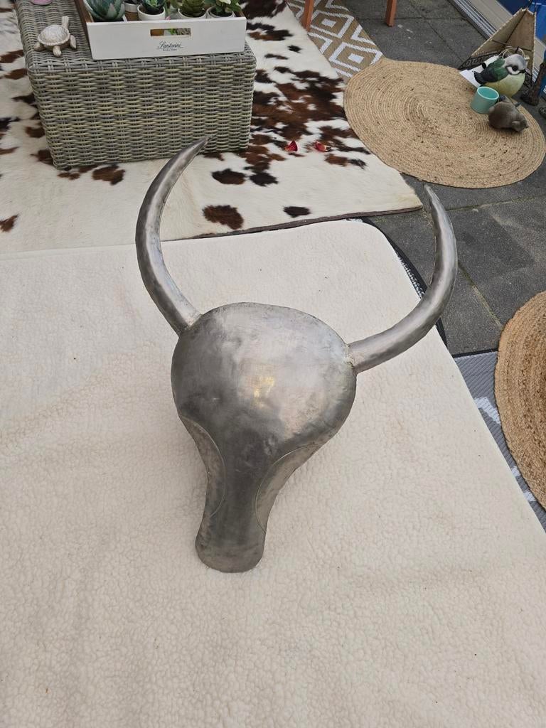 Aluminium Skull handmade., Ophalen of Verzenden