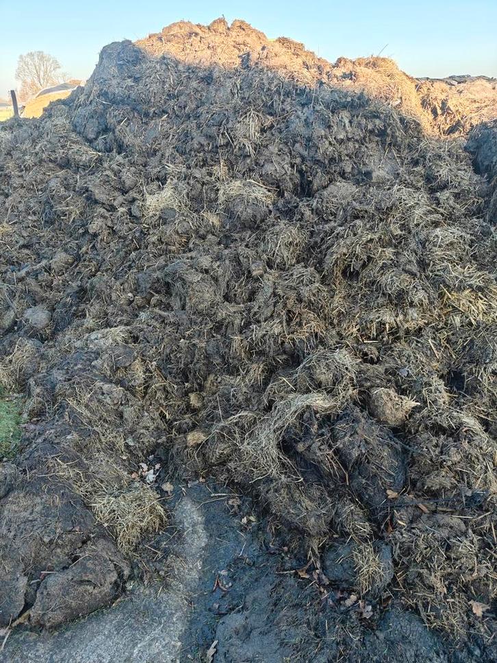 Vaste stro rijke mest of rundvee drijfmest, Tuin en Terras, Aarde en Mest, Compost, Ophalen of Verzenden