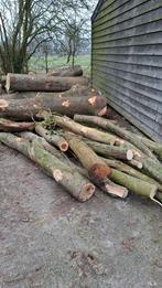 Stamhout haardhout, Tuin en Terras, Haardhout, 6 m³ of meer, Ophalen of Verzenden