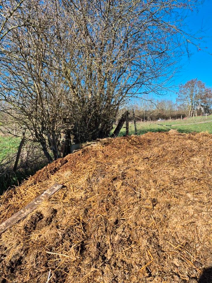 Gratis stalmest, Tuin en Terras, Aarde en Mest, Ophalen
