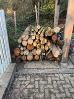 Brandhout: Diverse Stammen en Takken, Minder dan 3 m³, Ophalen of Verzenden, Overige houtsoorten, Stammen