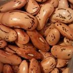 St George Pronkbonen, Tuin en Terras, Ophalen of Verzenden, Voorjaar, Volle zon, Zaad