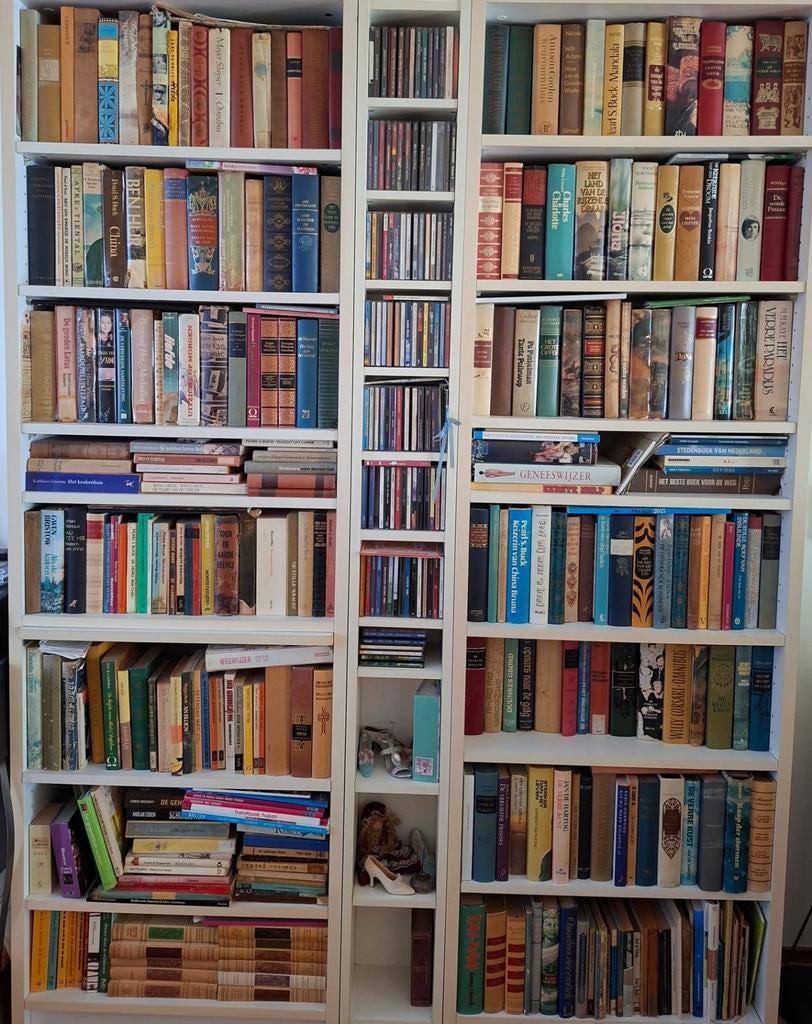 Grote collectie boeken, diverse genres en auteurs, Boeken, Romans, Ophalen, Gelezen, Diverse auteurs, Nederland