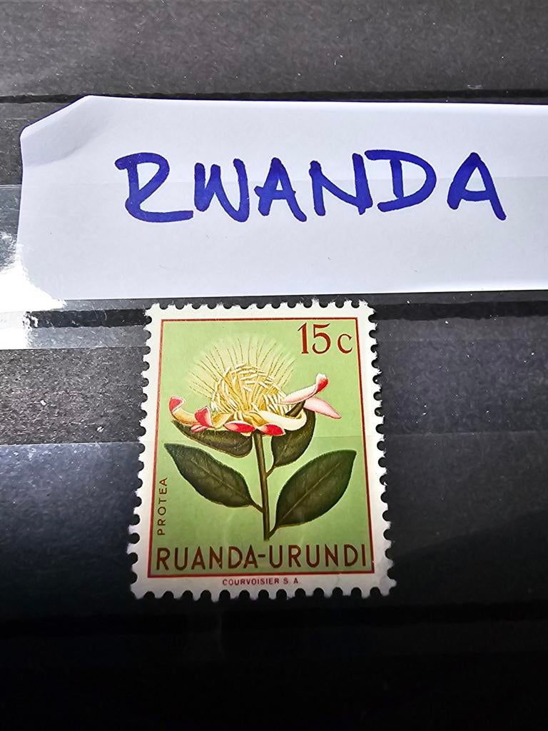 Ruanda-Urundi 15c Protea postzegel, Ophalen of Verzenden, Overige landen, Postfris