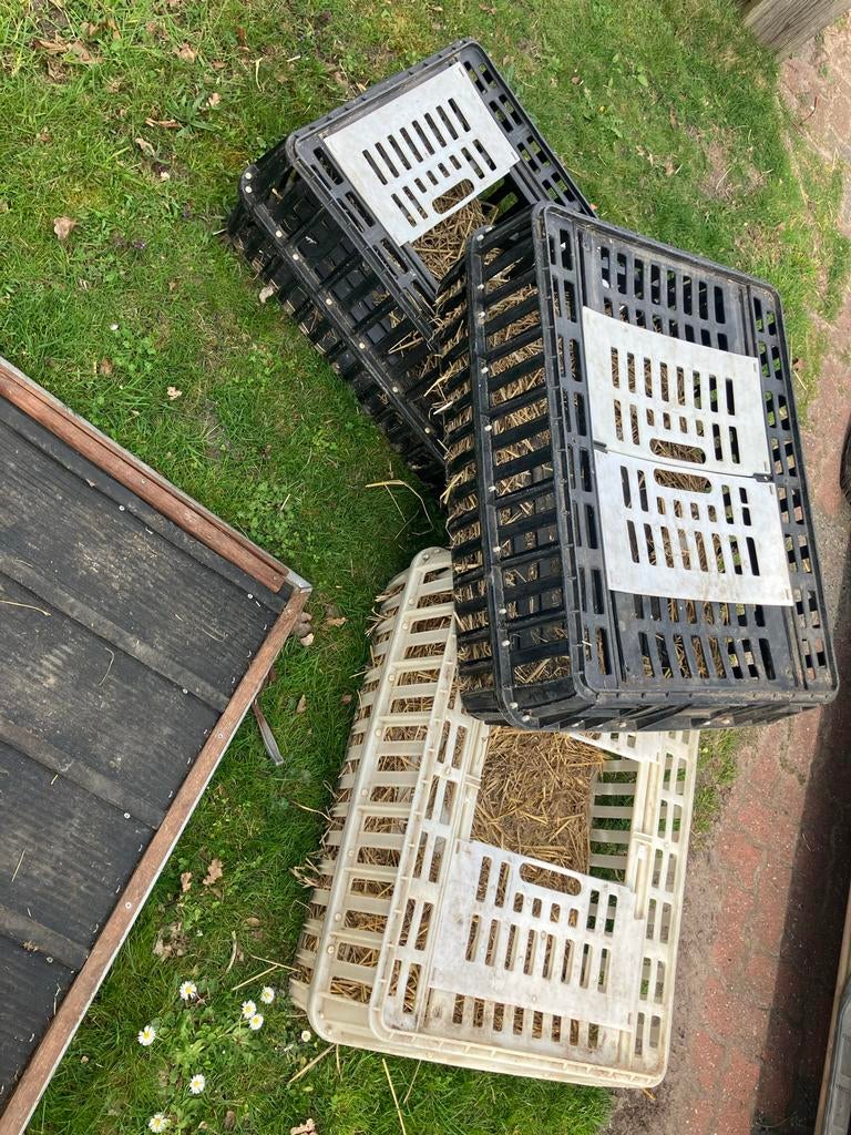 Kipe konijne vervoers krat, Dieren en Toebehoren, Ophalen, Zo goed als nieuw, Overige typen