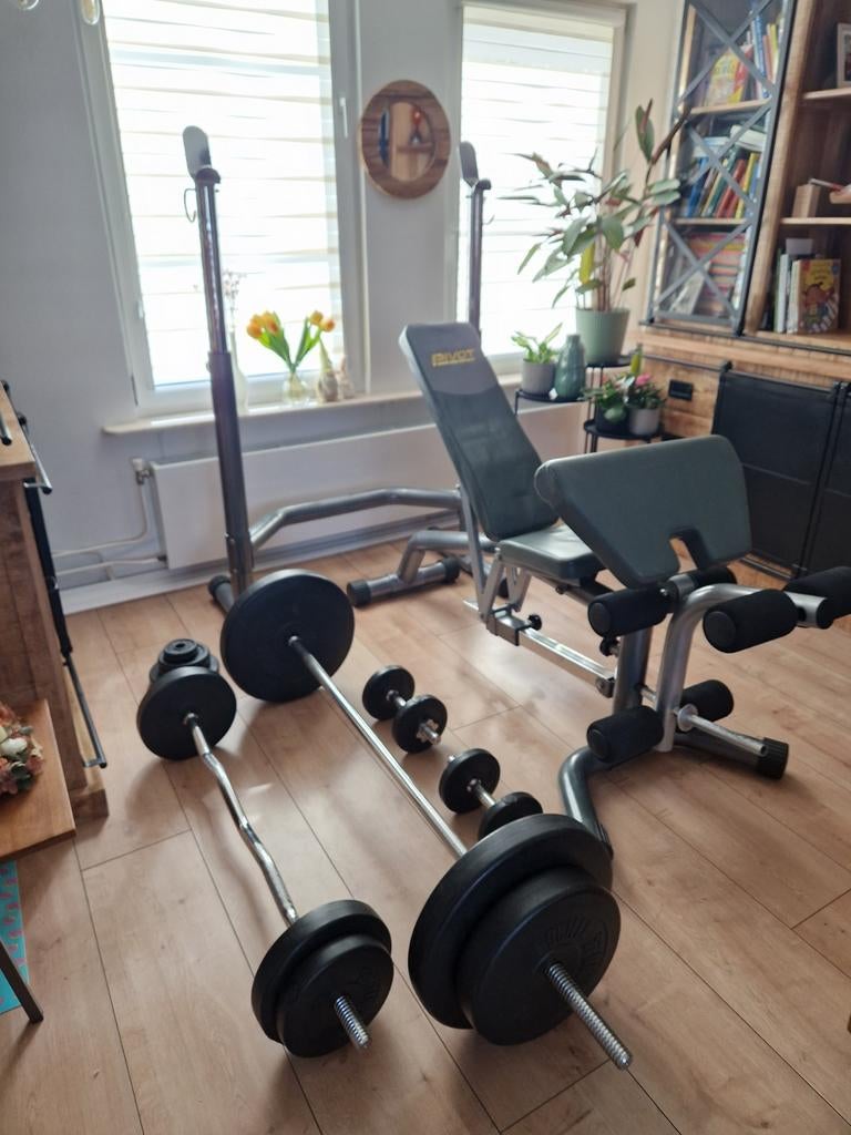 halterbank squatrek halterstangen en 80kg gewichten, Ophalen, Zo goed als nieuw, Fitnessbank