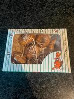 Paasdoosje met Gladiolen - Vrolijke Bloembollen, Ophalen of Verzenden, Voorjaar, Volle zon, Bloembol