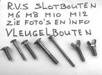 Veel  RVS slotbouten M6 M8 M10 RVS vleugelbouten M8 - M10, Nieuw, Ophalen of Verzenden, Minder dan 50 mm, Rvs
