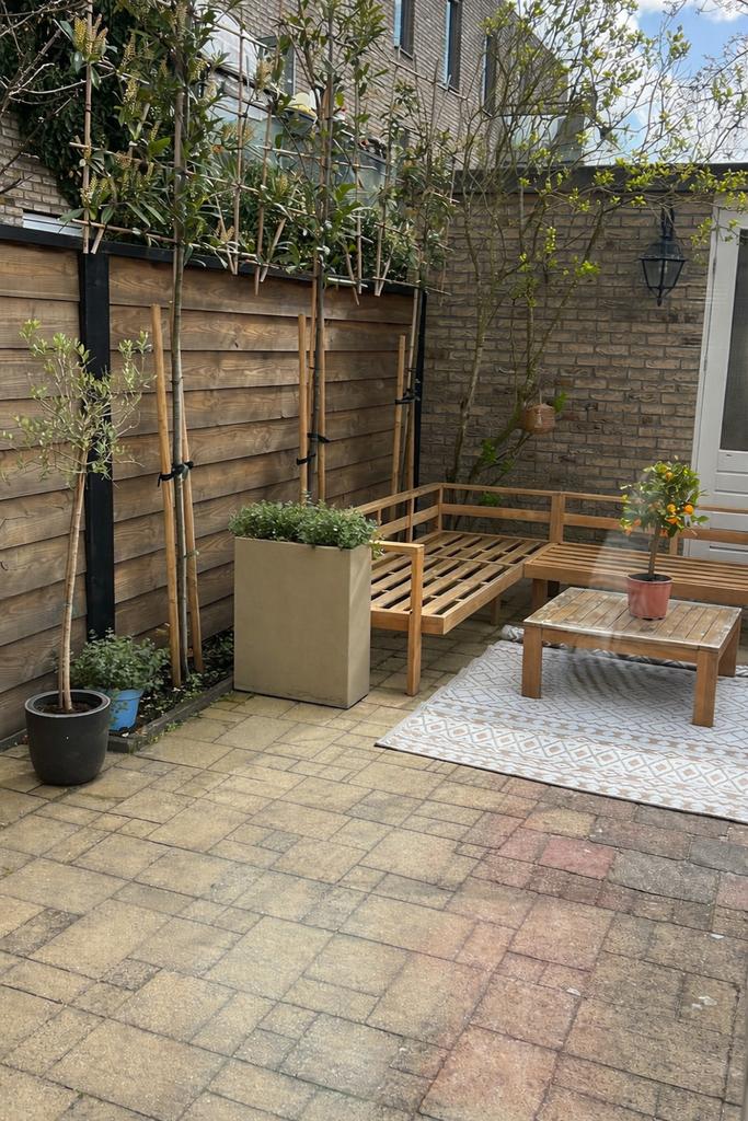 3 winterharde Leilinde bomen, Tuin en Terras, Leiboom, Lente, 100 tot 250 cm, Ophalen