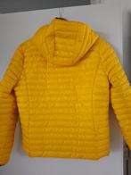 Superdry tussen Jas, Ophalen of Verzenden, Zo goed als nieuw, Maat 38/40 (M), Jack