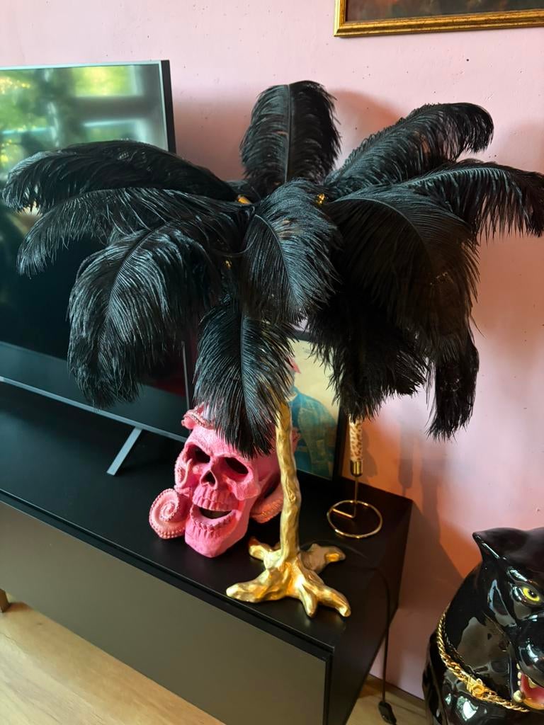 Struisvogel veren lamp, Ophalen, Zo goed als nieuw, Minder dan 50 cm