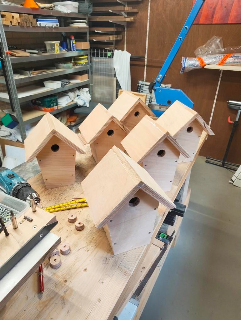 Vogelhuisje, Ophalen of Verzenden, Nieuw