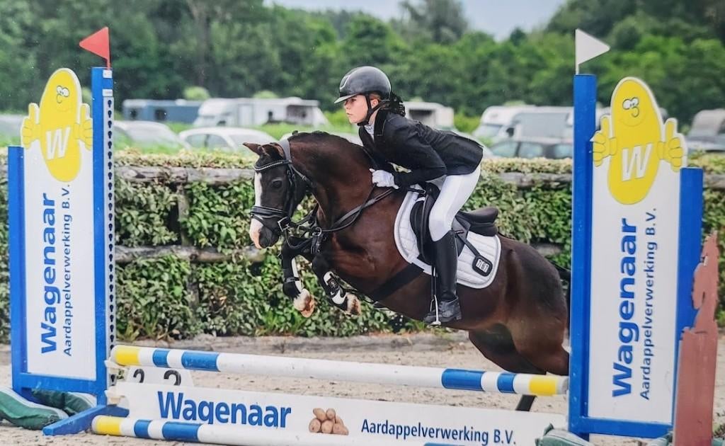 Mooie en lieve zwarte allround A-pony, Dieren en Toebehoren, Pony's, Springpony, A pony (tot 1.17m), L, 11 jaar of ouder