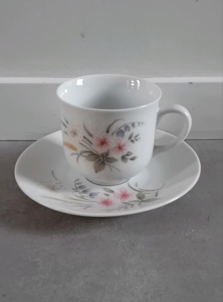 Epiag D.F Carlsbad vintage kop en schotel, Ophalen of Verzenden