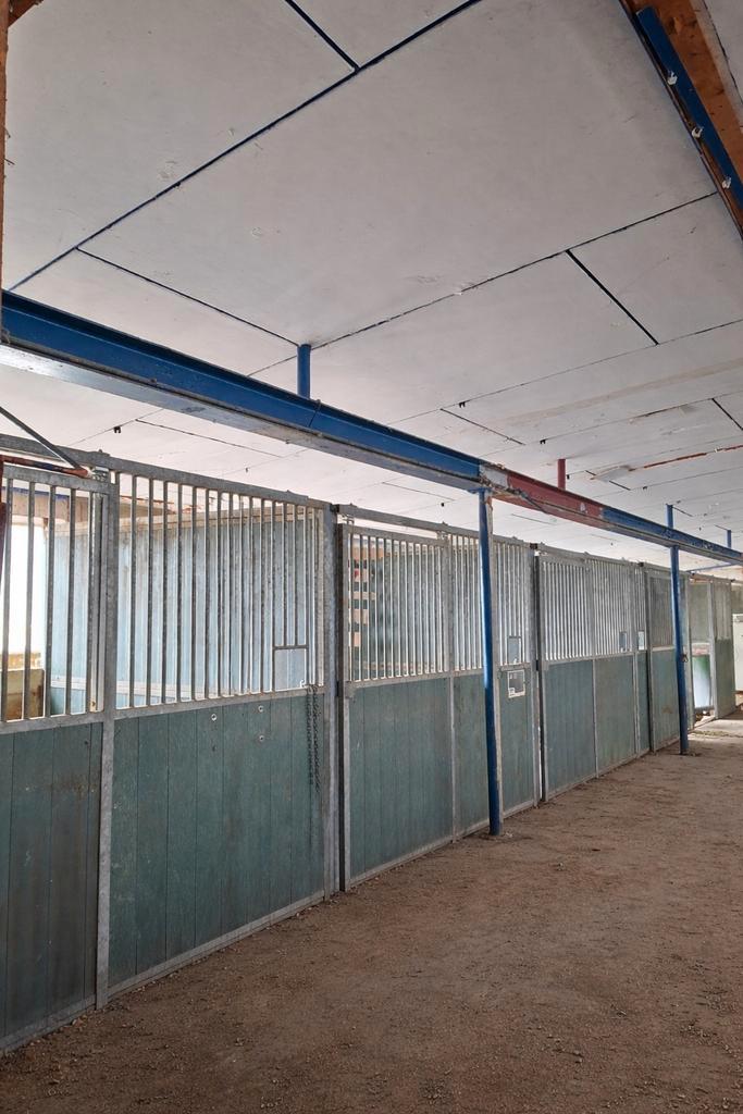 Paardenstallen/ paardenstal/ paardenbox/ vee/ paard/ hok, Dieren en Toebehoren, Stalling en Weidegang