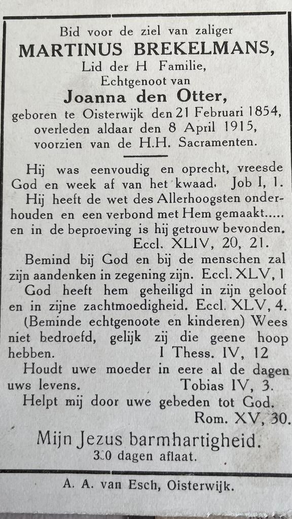 Martinus Brekelmans Oisterwijk 1854, Ophalen of Verzenden