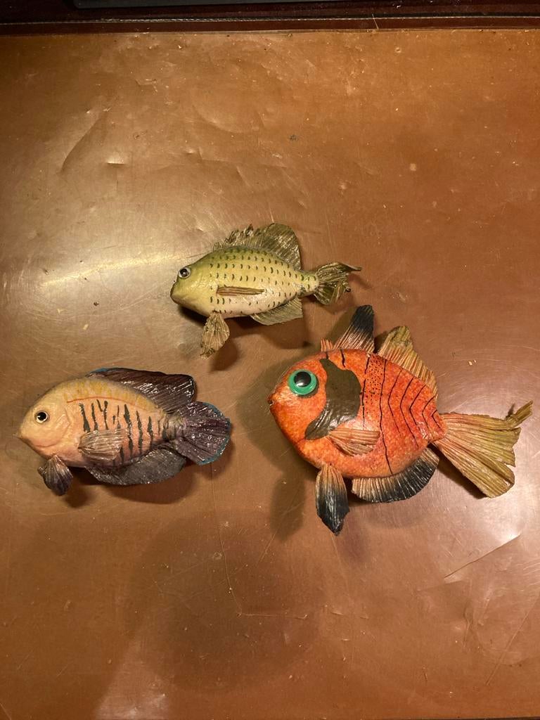 3 opgezette vissen, Ophalen of Verzenden