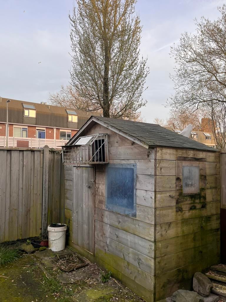Duivenhok (Gratis), Tuin en Terras, Ophalen of Verzenden, Zo goed als nieuw, Schuur