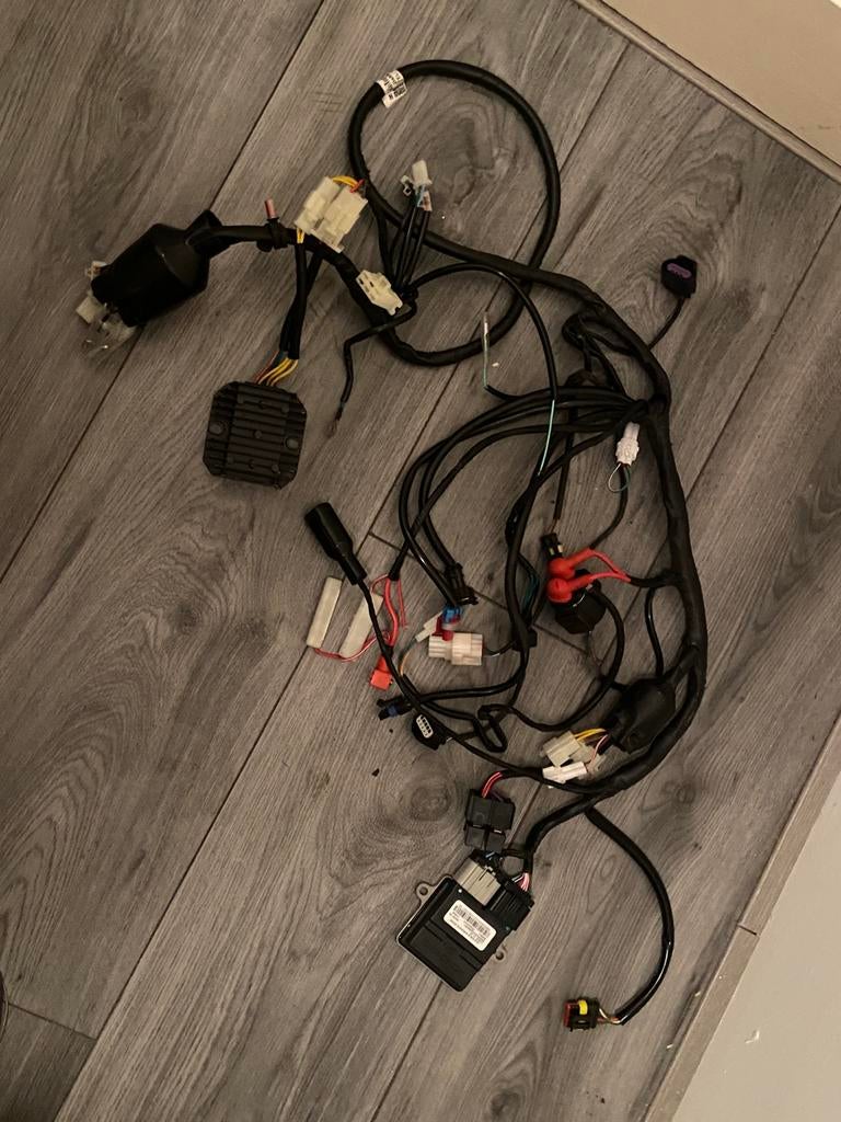 la souris injectie kanelboom Compleet Euro5, Ophalen of Verzenden, Zo goed als nieuw, Overige typen, Overige merken