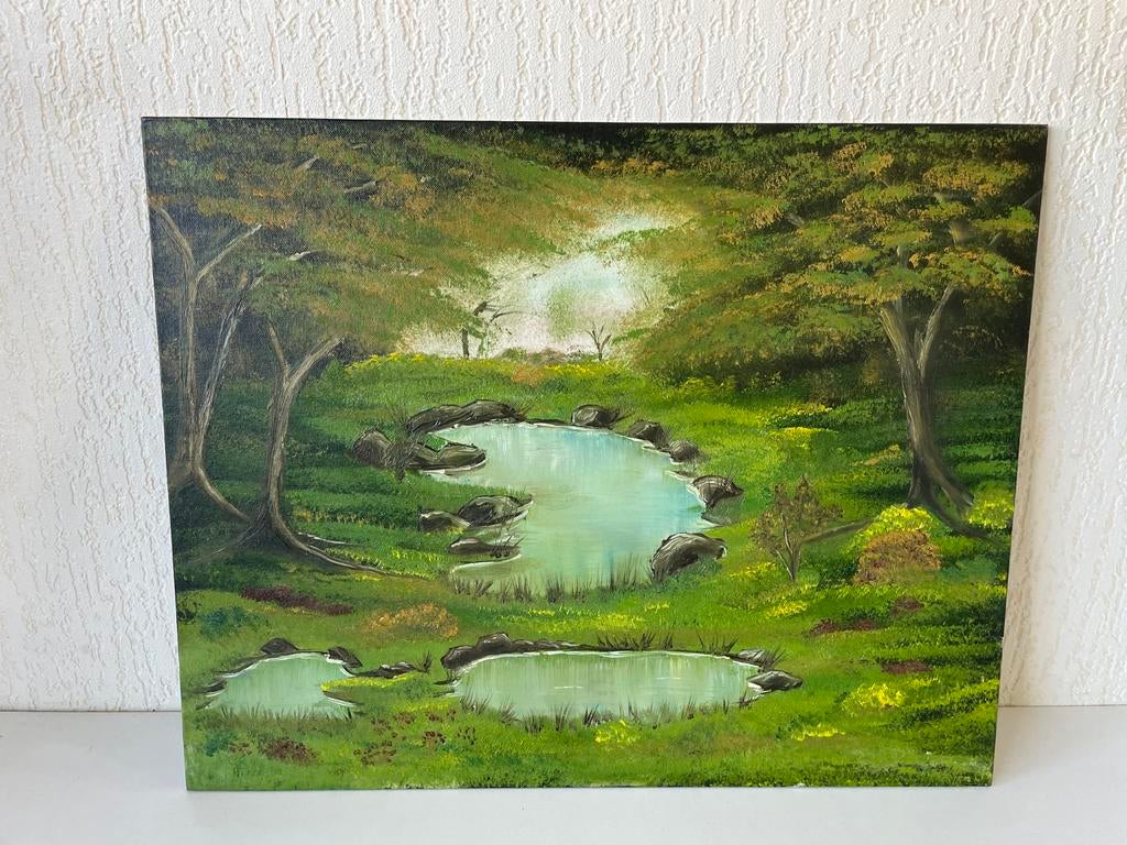 Schilderij De Spiegeling van de Stilte Gerda Slingerland, Antiek en Kunst, Ophalen