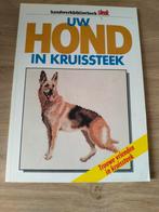 UW HOND IN KRUISSTEEK*BOXER*TECKEL*POEDEL*DALMATIER*DOG enz, Verzenden, Zo goed als nieuw, Borduren en Naaien