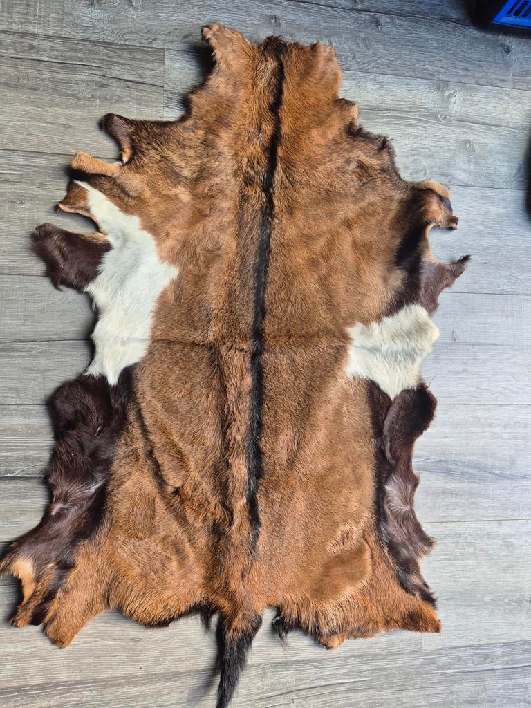Geiten huid, Ophalen of Verzenden, Gebruikt, Boerderijdier, Overige typen