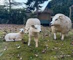 Texelse Schapen Familie Grote  Set van 4 Polyester texelaar, Tuin en Terras, Tuinbeelden, Ophalen, Nieuw, Kunststof