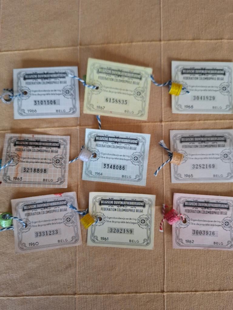 9 duivenringen jaren 60, Mannelijk, Postduif