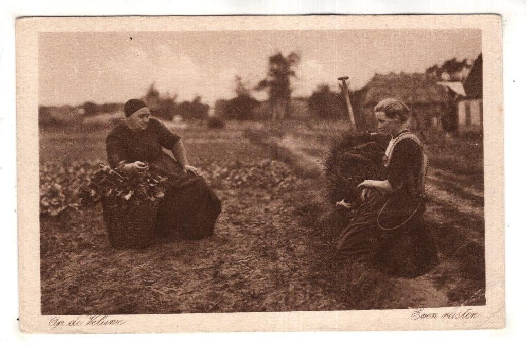 Veluwe Dorpsleven Klederdracht Landarbeid, Verzenden, 1920 tot 1940, Ongelopen, Gelderland